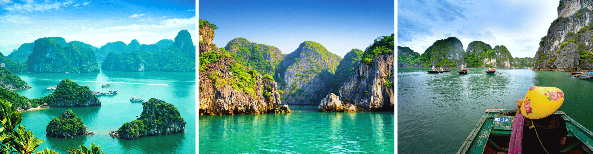 VE Day 4 VE Day 4 WOLO Travel